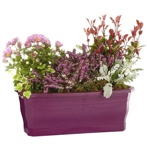 Composition d'extérieur mélange violet rose - La jardinière de 40 cm