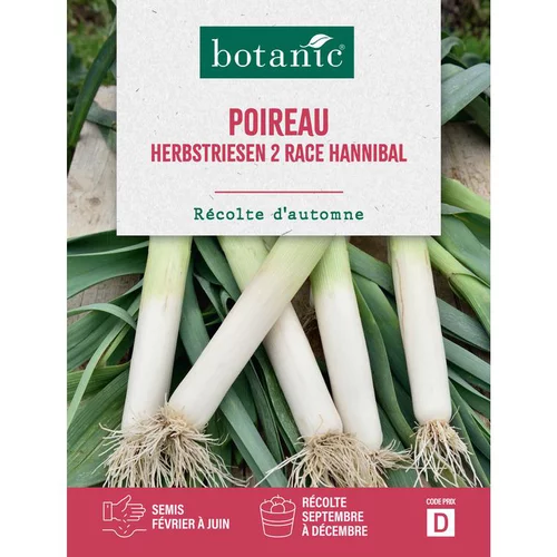 Graines de poireau herbstriesen 2 race hannibal botanic® - graines herbstriesen semer