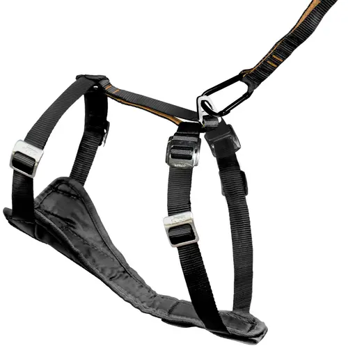 Harnais auto pour chien coloris noir taille XL Kurgo Enhanced Tru-Fit Smart