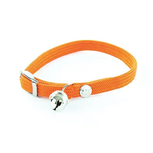 Collier élastique pour chat orange