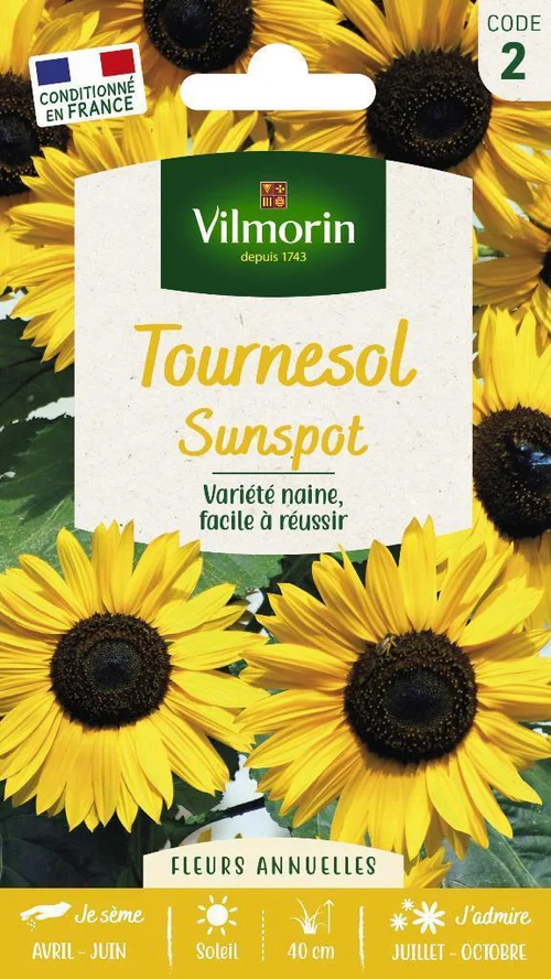 Graines de Tournesol Sunspot Vilmorin - graines à semer
