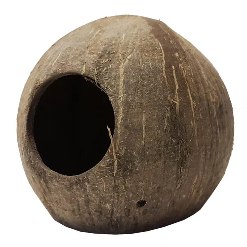 Noix de coco pour terrarium coloris marron Reptile Planet Coco Cave