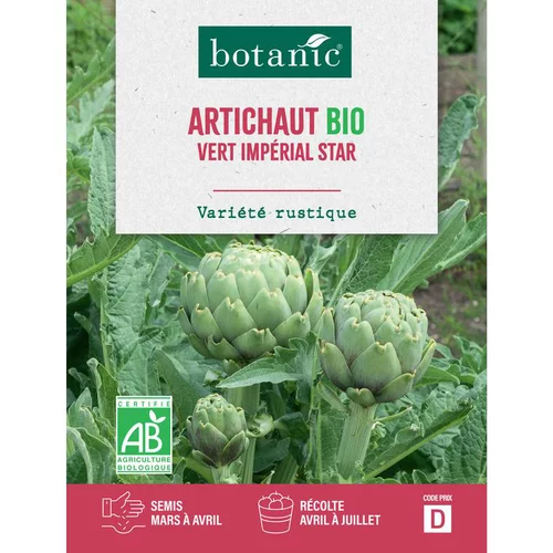 Graines d'Artichaut vert impérial star bio botanic® - graines à semer