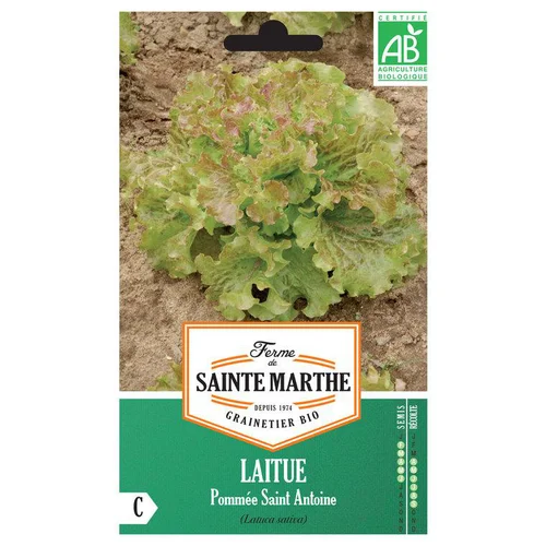 Graines de Laitue pommée Saint Antoine bio Ferme de Sainte Marthe - 500 graines à semer