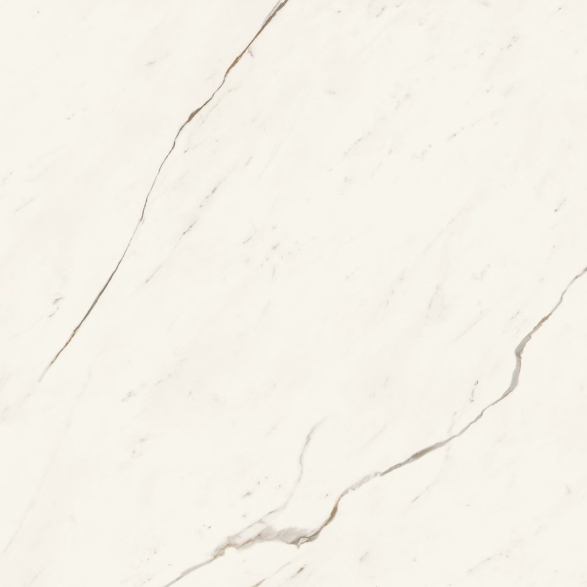 Carrelage effet Marbre Blanc Calacatta Alba 120 × 120 × 0 – 9 cm Silk Montira, Sol et mur intérieur (vendu par carton de 2,88 m²), RO'