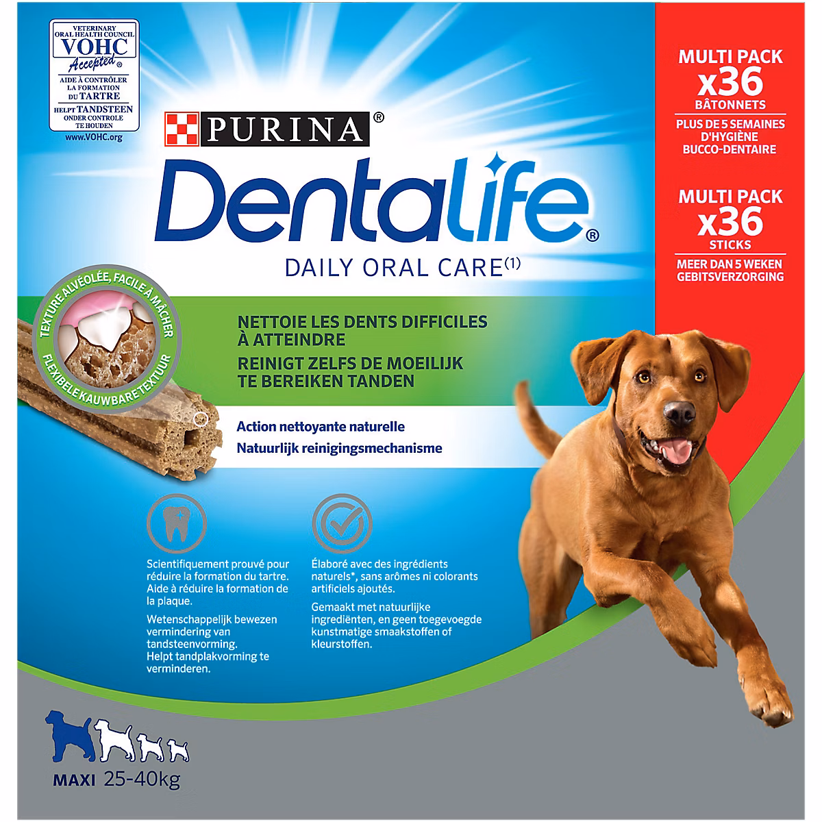 Dentalife Maxi Chien de grande taille (25 à 40kg) 1272g – Réf. YZMHMFSJG7244305355