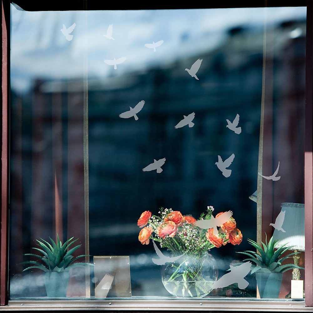 15 stickers oiseaux anti – collision translucide 75 × 75 cm