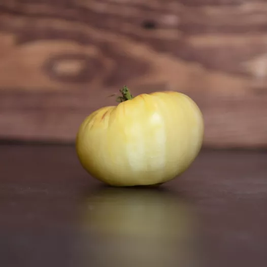 Bio zaden Tomaat Witte ster uit Antwerpen