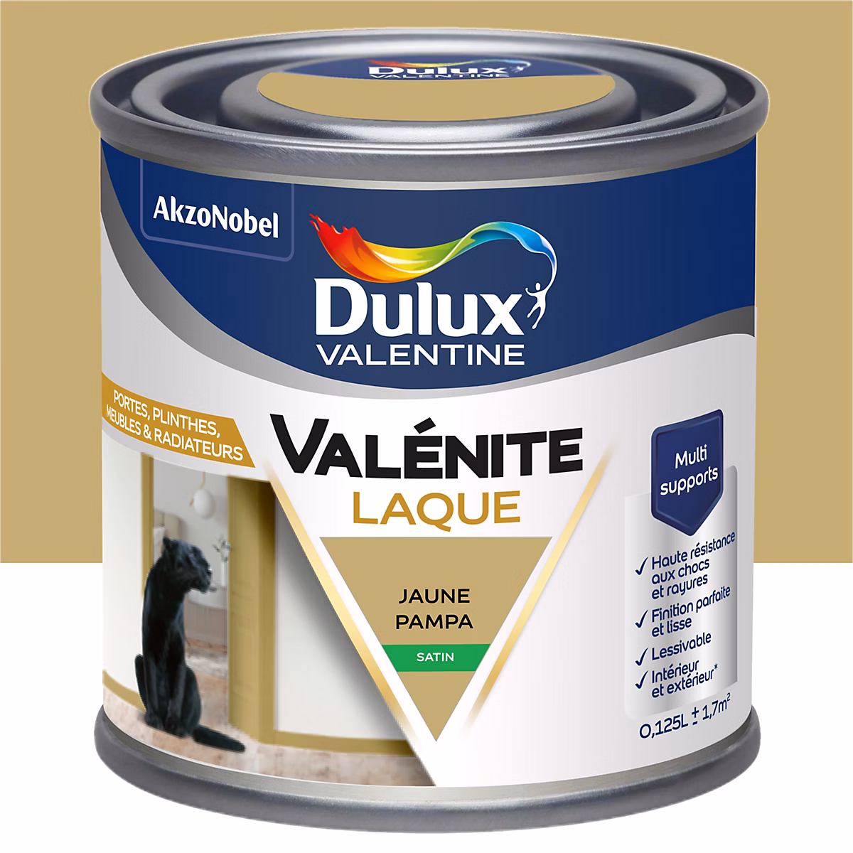 Peinture intérieure – Laque acrylique jaune pampa satin Dulux Valentine Valénite 125 ml