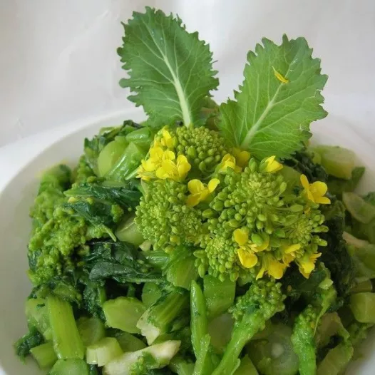 Bio zaden van Raapblad Cima de rapa