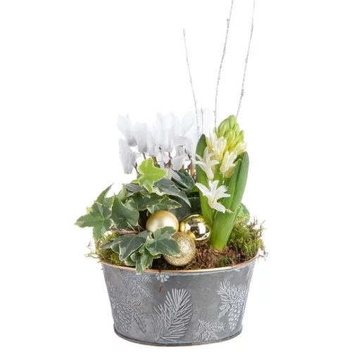 Composition de Noël multicolore pot en zinc décor houx