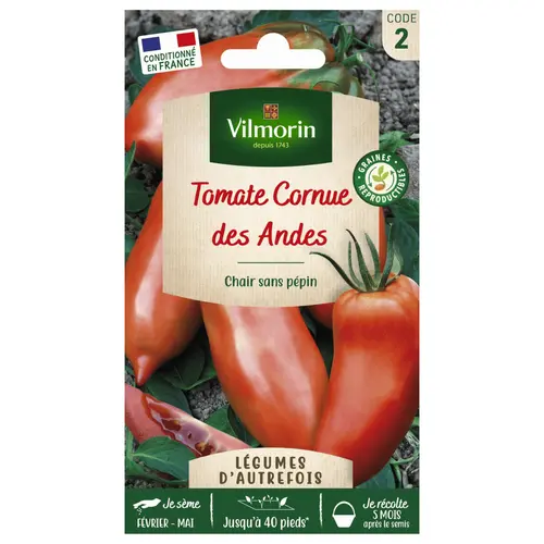 Tomate Cornue des Andes Vilmorin - graines à semer