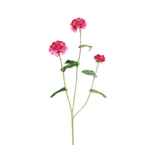 Zinnia artificiel à 3 fleurs fuchsia - 70 cm