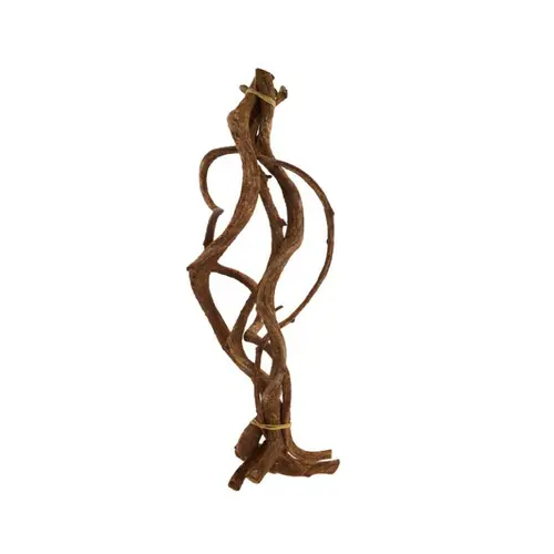 Ensemble de 5 branches ondulées de vigne sauvage - 60 x 17 x 12 cm