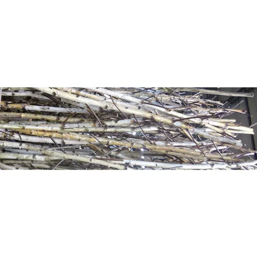 Branche de bouleau 150 à 200 cm - La branche