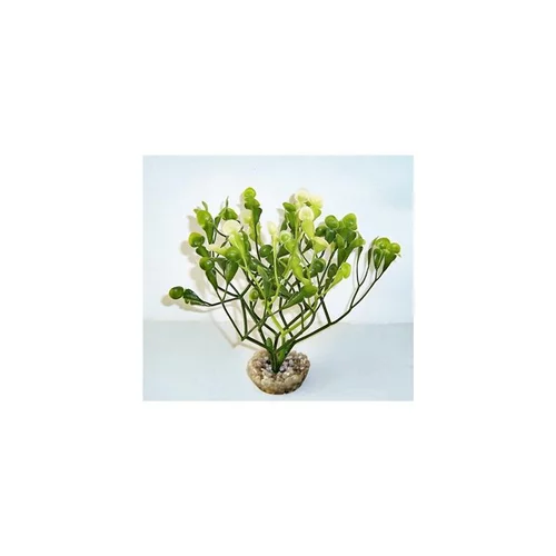 Fucus vert en plastique 15 cm