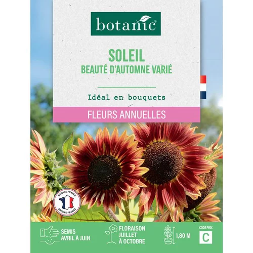 Graines de soleil beauté d'automne varié botanic® - graines à semer