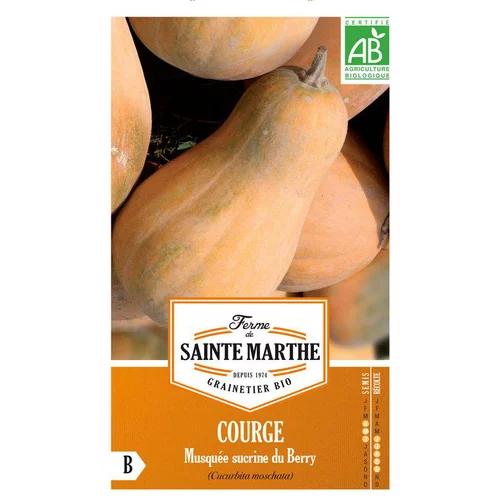 Graines de courge musquée sucrine du Berry bio Ferme de Sainte Marthe - graines à semer