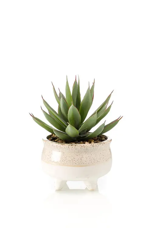 Echeveria artificielle vert et rouge en pot décoratif - Ø 17 x H 20 cm