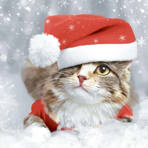 20 serviettes 3 plis Kitten Christmas - 33 x 33 cm