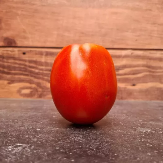 Tomaat pera d'Abruzzo, biologische en reproduceerbare zaden