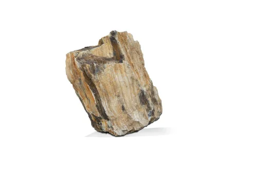 Pierre décorative pour aquarium coloris marron Aquavie bois fossilisé - Taille S
