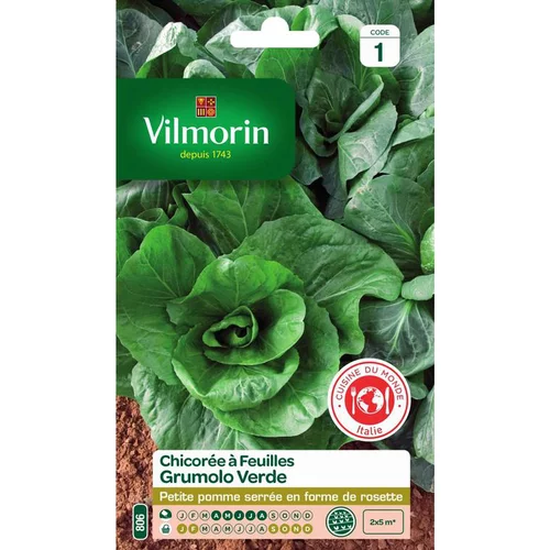 Graines de chicorée à feuilles Grumolo verde Vilmorin - graines à semer