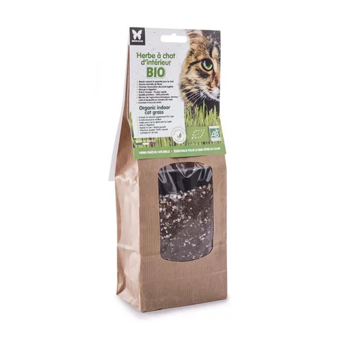 Herbe à chat bio à semer - barquette de 130 g
