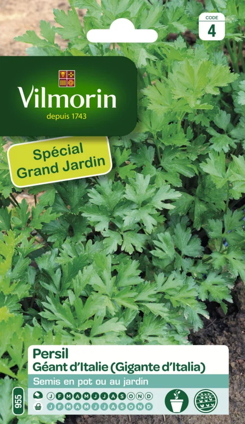 Persil Géant d'Italie Vilmorin - graines à semer