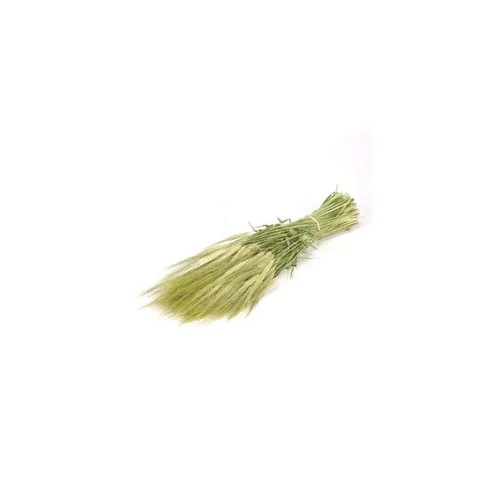 Bouquet de fleurs séchées coloris vert