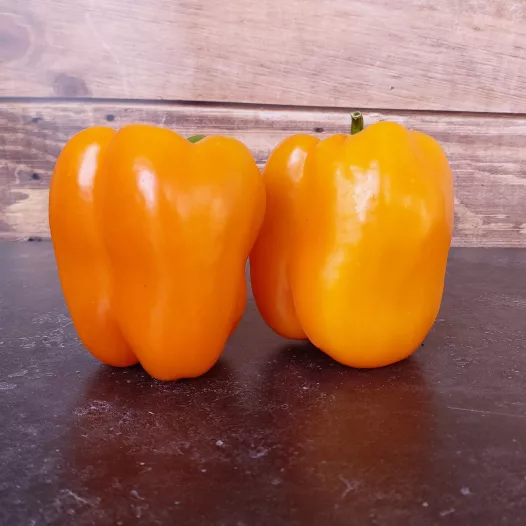 Biologische zaden van Paprika oranje Ariane