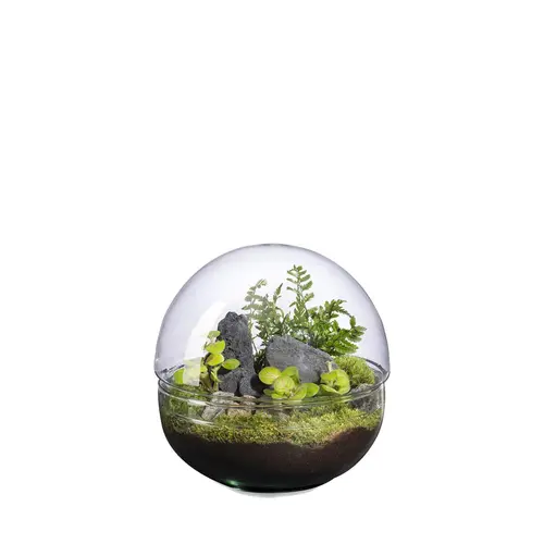Terrarium autonome Mini Monde Landscape botanic® - taille M