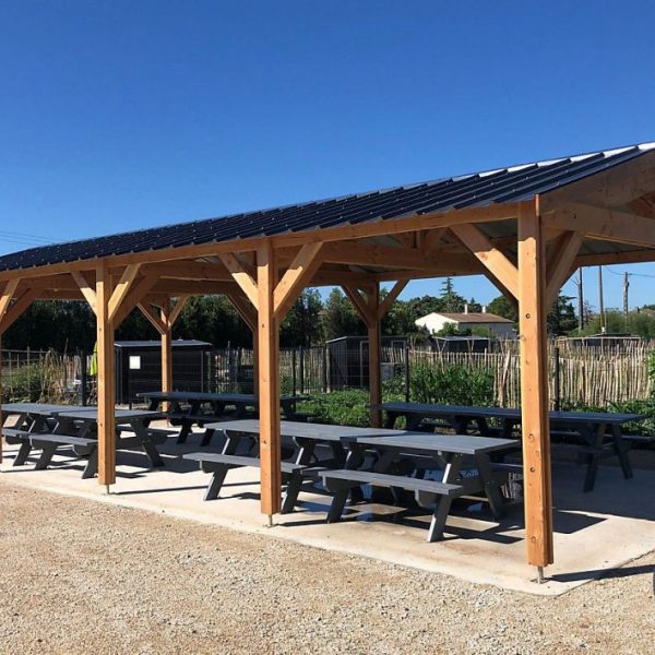 Carport deux pentes 400cmx1250cm | bois DOUGLAS Français (Charpente en bois – auvent – abri voiture) – 50 m². Garantie 10 ans