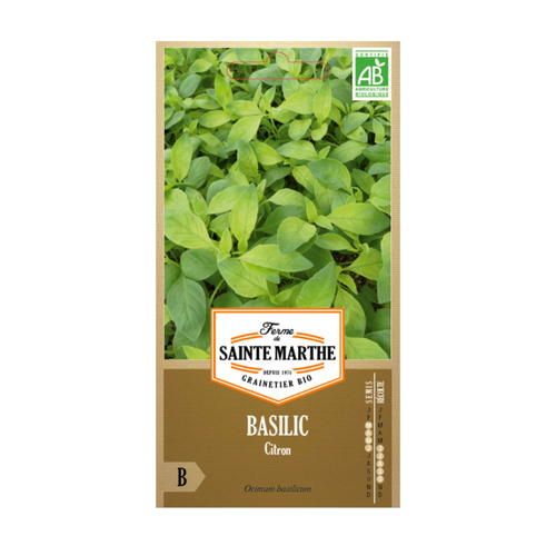 GRAINES BASILIC CITRON BIO