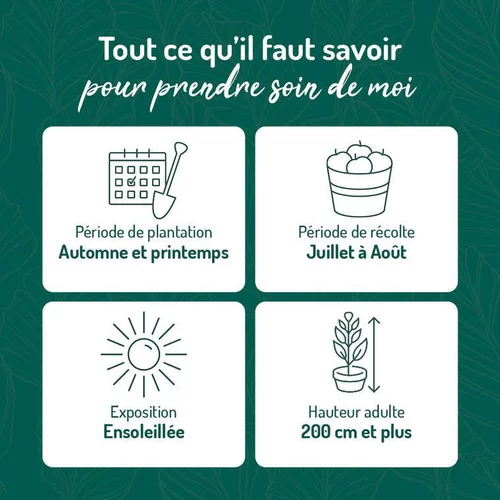 Murier Dirksen Bio. Le pot de 2 litres