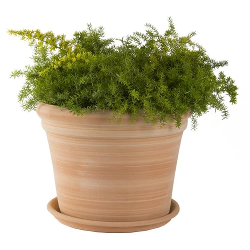 Pot gamme Cocio bordo Ø 42 cm