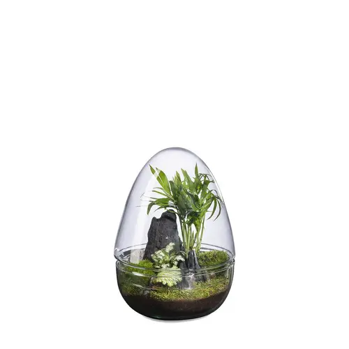 Terrarium autonome Dyno Landscape botanic® - taille M