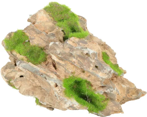 Pierre dorée avec plante aquatique pour aquarium Zolux yellow stone « ki pousse » M