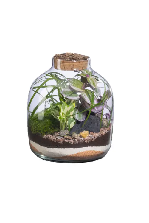 Terrarium autonome Mensa M botanic® - Ø 10-23 x 28 cm