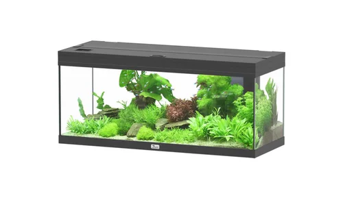 Aquarium coloris noir Aquatlantis Prestige LED 2.0 144 L - 100 x 40 x 40 cm