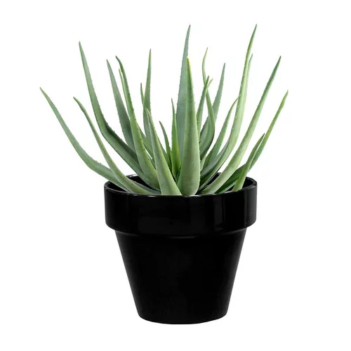 Pot horticole en terre cuite émaillée Noir - D10 x H8.5