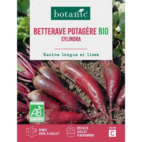 Graines de Betterave potagère cylindra bio botanic® - graines à semer