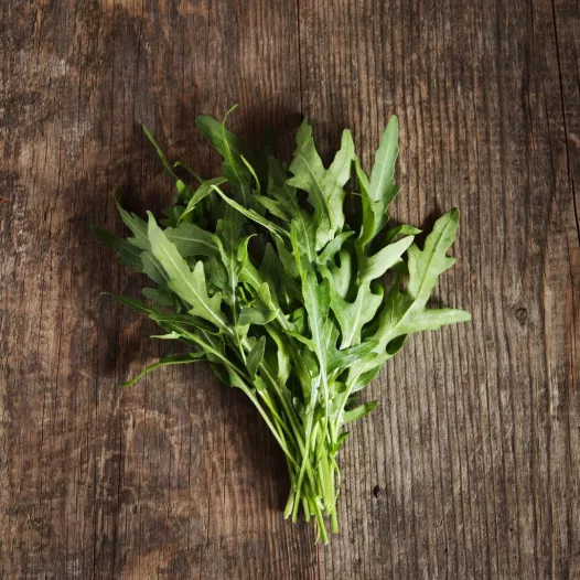 Wilde rucola zaden bio | Aromatische kruidenzaden