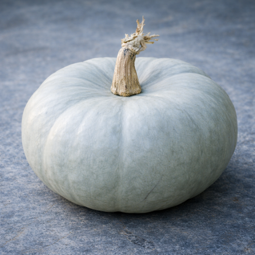 Pompoenenzaad | Pompoen blauw uit Hongarije
