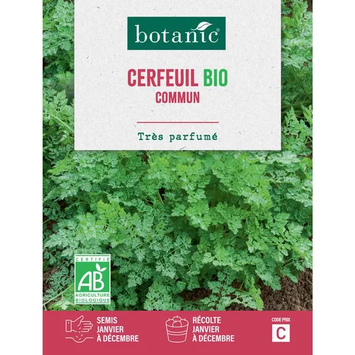 Graines de cerfeuil commun bio botanic® - graines à semer