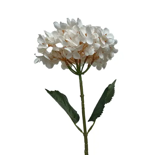 Tige d’hortensia blanche en papier aspect fleur séchée Naturalys - 65 cm