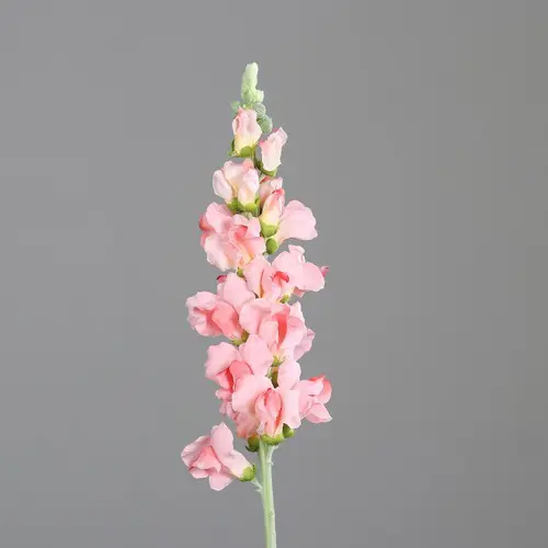 Gueule de loup artificielle rose clair - 81 cm