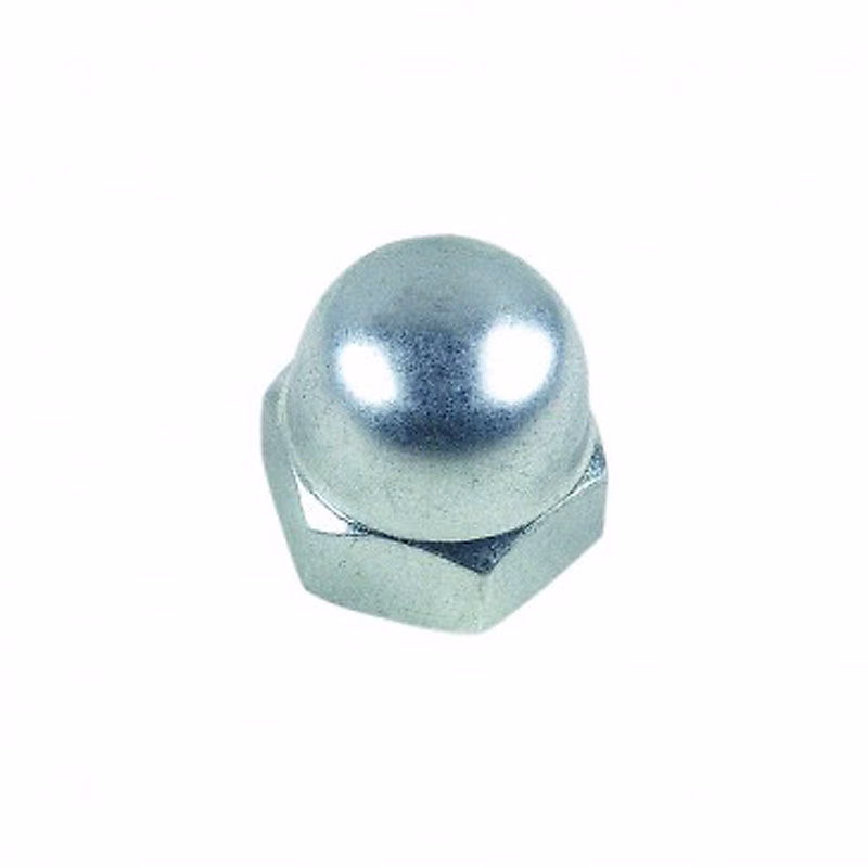 Ecrou borgne LENNIE diam 10 mm boîte de 100 référence 10001002B – Réf. RZNHUMYXH5638530832