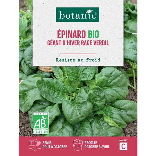Graines d'épinard géant d'hiver race verdil bio botanic® - graines à semer