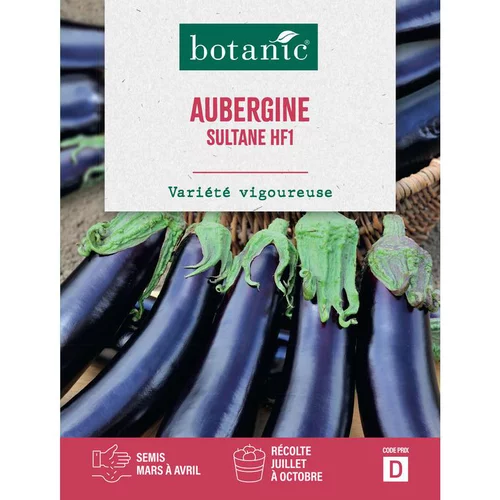 Graines d’Aubergine Sultane hybride F1 botanic® - graines à semer